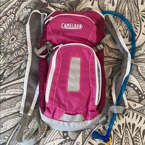 CamelBak Mini MULE Raspberry Swirl Backpack, 50oz